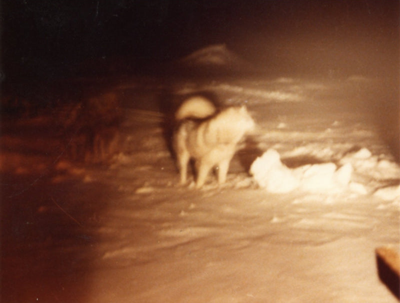 Star Wars: The Empire Strikes Back - Original Set Photographs