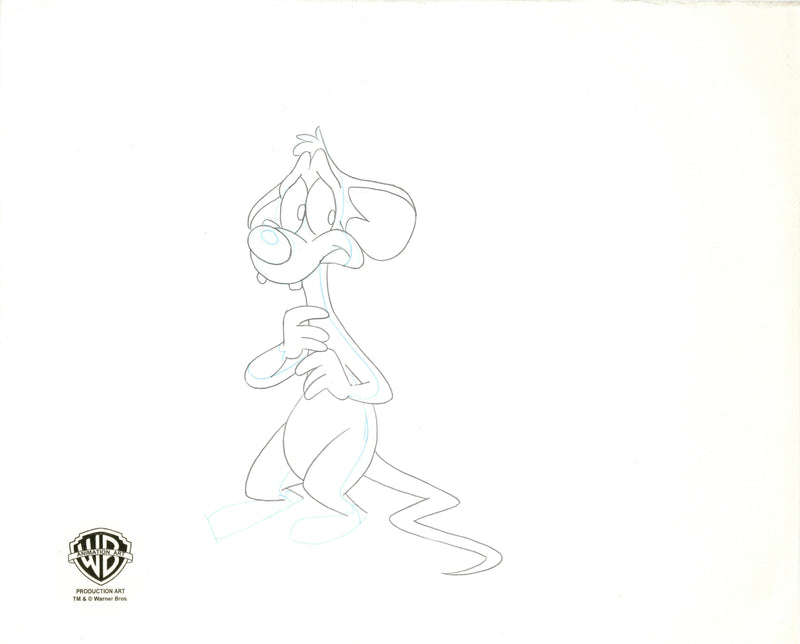 Pinky And The Brain Original Production Cel with Matching Drawings Signed by Tom Ruegger: Pinky, Brain