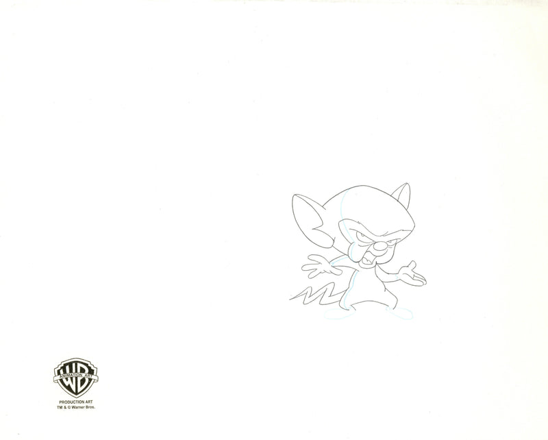 Pinky And The Brain Original Production Cel with Matching Drawings Signed by Tom Ruegger: Pinky, Brain