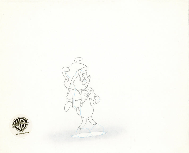 Animaniacs Original Production Cel with Matching Drawings Signed by Tom Ruegger: Yakko, Wakko, Dot