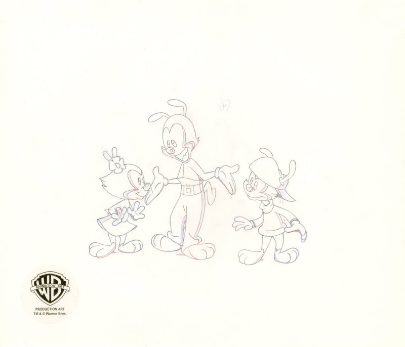 Animaniacs Original Production Cel with Matching Drawing Signed by Tom Ruegger: Yakko, Wakko, Dot
