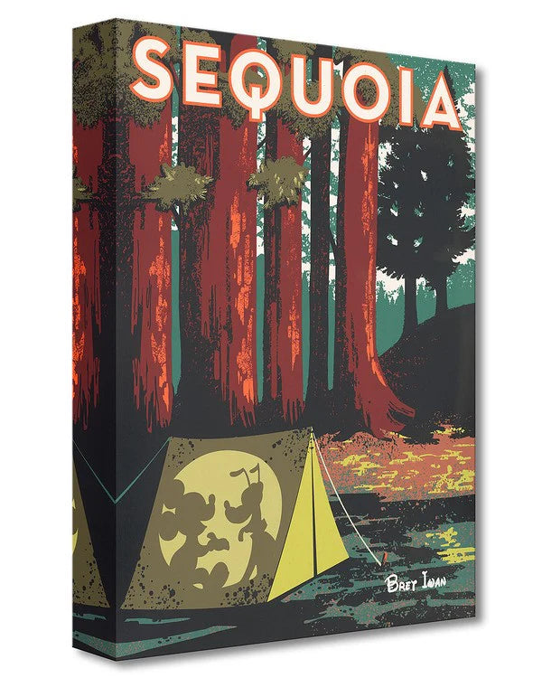 Disney Treasures: Sequoia